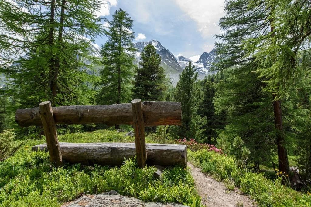 Bain de forêt en forêt d'arolles — sylvothérapie naturelle, Grand Hôtel & Kurhaus Arolla