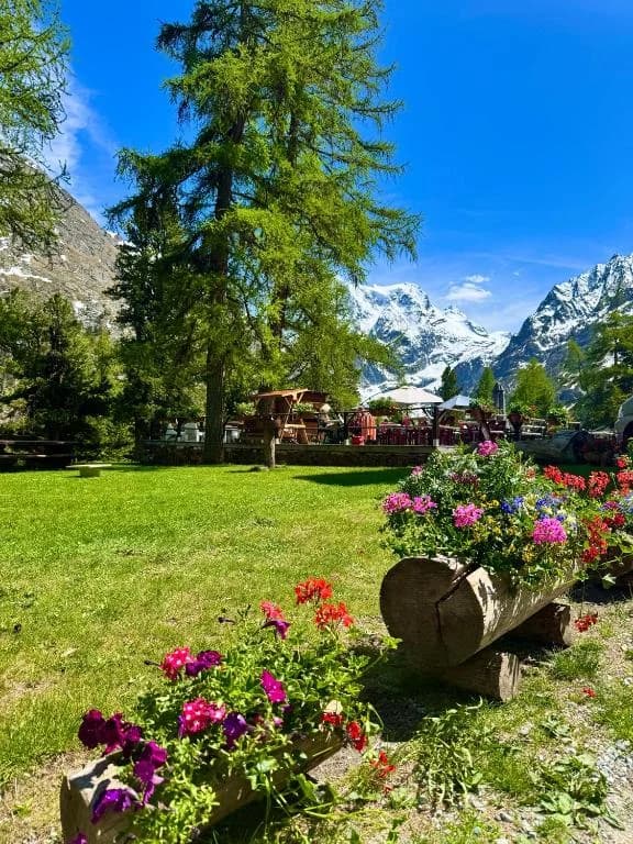 Le Jardin des Arolles — plus belle terrasse du Val d'Hérens, vue sur le Mont-Collon